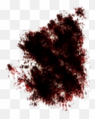 Blood - Stain png