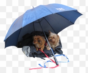 Leave Dog Partner Png Poster Print 20 X - Dog And Umbrella Png,Alone Png