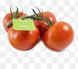 Tomatoes - Superfood Png,Tomatoes Png