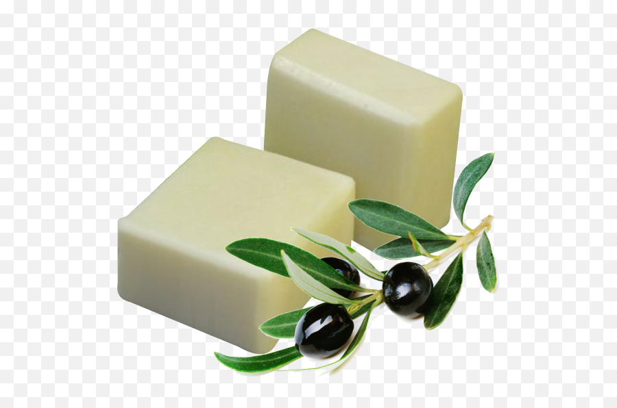 Soap Icon Web Icons Png - Art Palestine Olive Trees,Soap Png