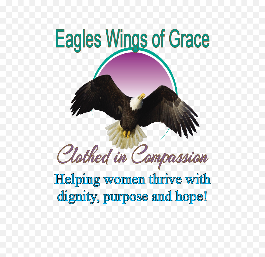 Arizona Tax Credit Eagles Wings Of Grace Giving Tucsoncom - Eagles Wings Of Grace Logo Png,Eagle Wings Png