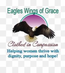 Arizona Tax Credit Eagles Wings Of Grace Giving Tucsoncom - Of Logo png