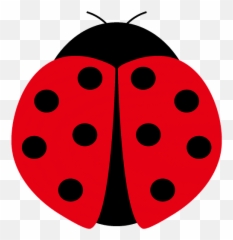 Ladybug Clipart Free Download Transparent Png Creazilla - Ladybugclipart Transparent,Transparent Ladybug