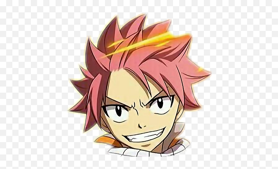 Download Natsu Dragneel - Fairy Tail Natsu Head Png,Natsu Dragneel Png