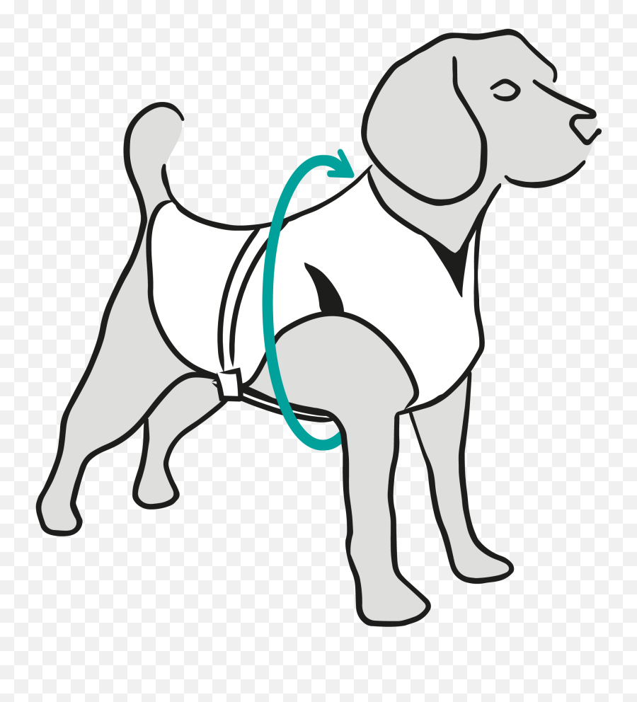 Dry Cooling Vest - Suitical Dog Leash Png,Leash Icon