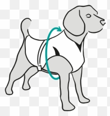 Dry Cooling Vest - Suitical Dog Leash png