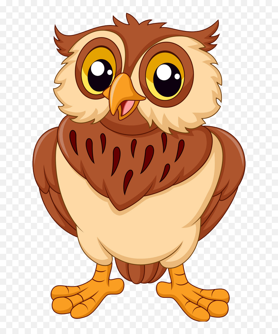 Smiling Owl Clipart Transparent - Clipart World Owl Cartoon Png,Barn Owl Icon