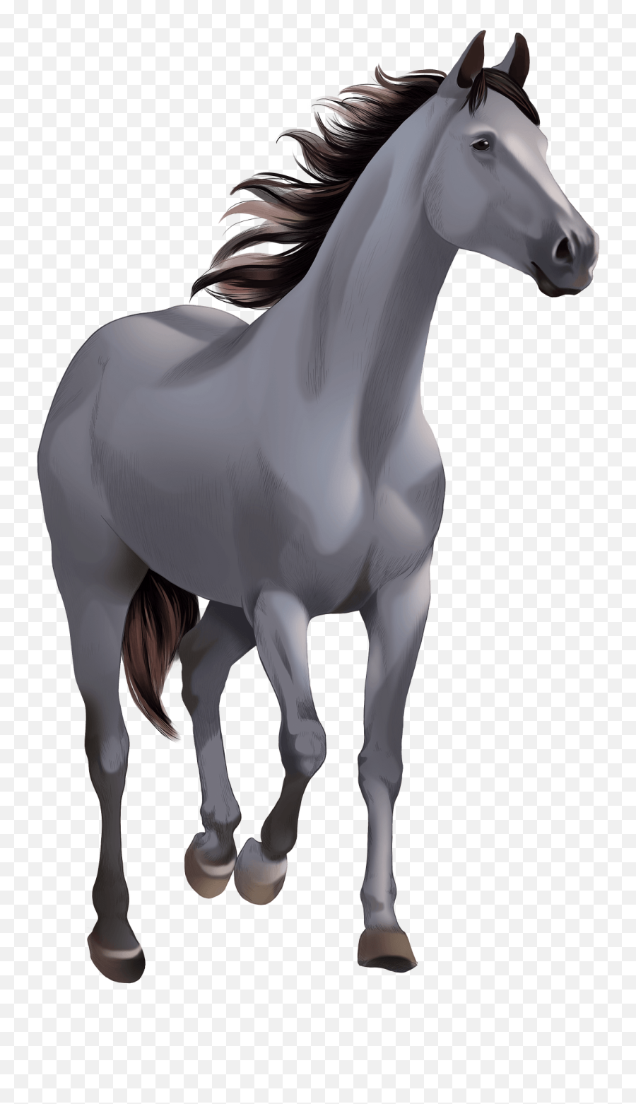 Download Free Farm Horse Arabian Clipart Hd Icon - Arabian Horses Clipart Png,Farm Icon Free