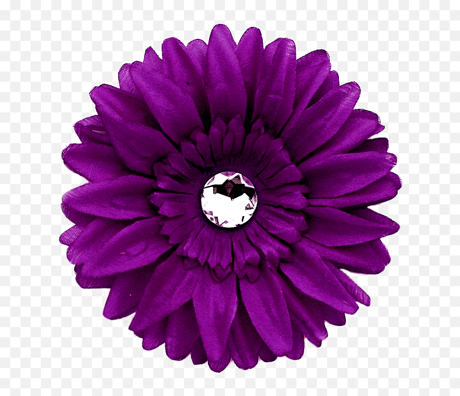 Daisy Purple Png Image With Transparent Background Arts - Daisy Flower Png Red,Transparent Daisy