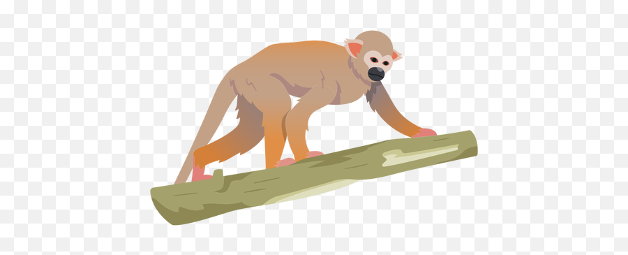 Common Squirrel Monkey Illustration Transparent Png U0026 Svg Vector - Rhesus Macaque,Icon Monkey Smile
