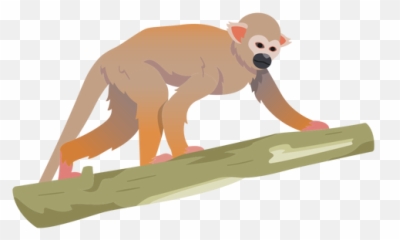Common Squirrel Monkey Illustration Transparent Png U0026 Svg Vector - Rhesus Macaque