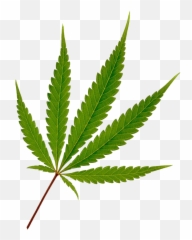 Cannabis Hemp Leaf Joint - Transparent Weed Png