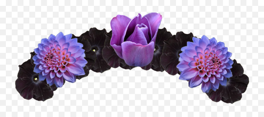 Purple And Black Flower Crown - Flower Crowns Png Image 408 Flower Crown No Background Black,Black Crown Png