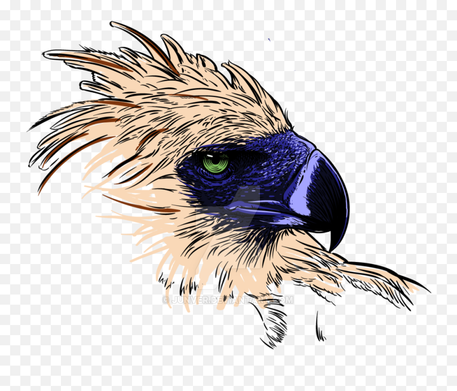 Philippine Eagle Logo Png - Transparent Philippine Eagle Png,Eagle Logo Transparent