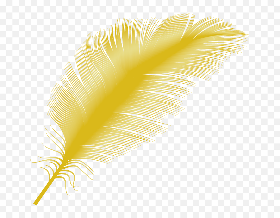 Transparent Yellow Feather Png - Bird Gold Feather Png,Feather Transparent Background