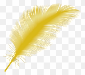 Transparent Yellow Feather Png - Bird Gold Feather Png,Feather Transparent Background