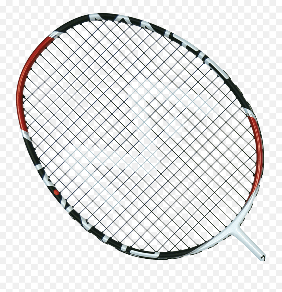 Mantis Tour 88 - Head Of A Badminton Racquet Png,Badminton Racket Png