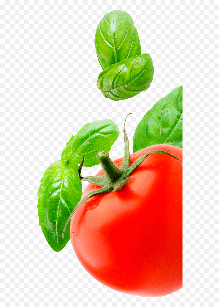 Tomato And Basil Png - Tomato And Basil Png,Basil Png