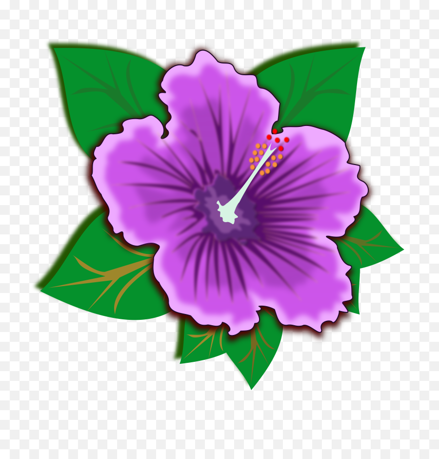 Hawaiian Flowers Png - Hawaiian Clipart Purple Hawaiian Rainforest Plants Clip Art,Hawaiian Flower Png