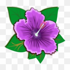 Hawaiian Flowers Png - Hawaiian Clipart Purple Hawaiian Rainforest Plants Clip Art,Hawaiian Flower Png