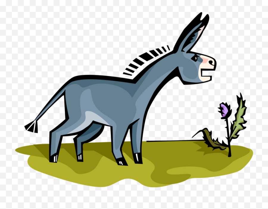 Donkey Clipart Domesticated Transparent - Jumento Desenho Png,Ass Png