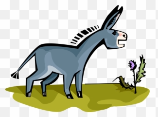 Donkey Clipart Domesticated Transparent - Jumento Desenho Png,Ass Png