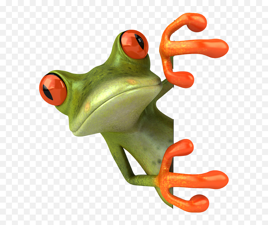 Index Of Images - Frog 3d Png,Frog Png