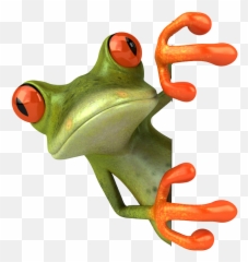Index Of Images - Frog 3d Png,Frog Png