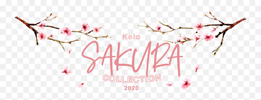 Sakura Collection 2020keio Department Store Shinjuku Tokyo - Calligraphy Png,Sakura Petals Png