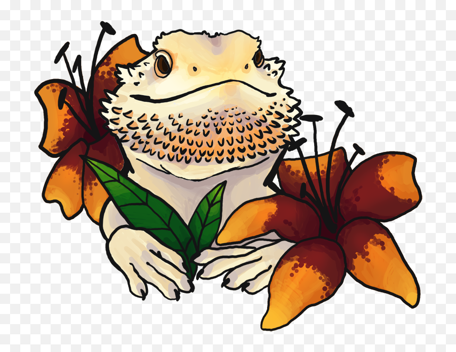 Bearded Dragon Png - Cartoon Easy Bearded Dragon Drawing,Bearded Dragon Png