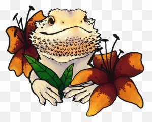 Bearded Dragon Png - Cartoon Easy Drawing