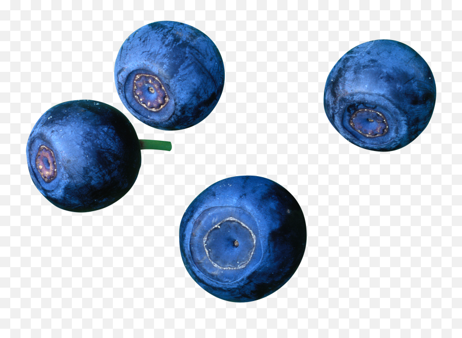Blueberries Png Clipart Background Play Blueberry