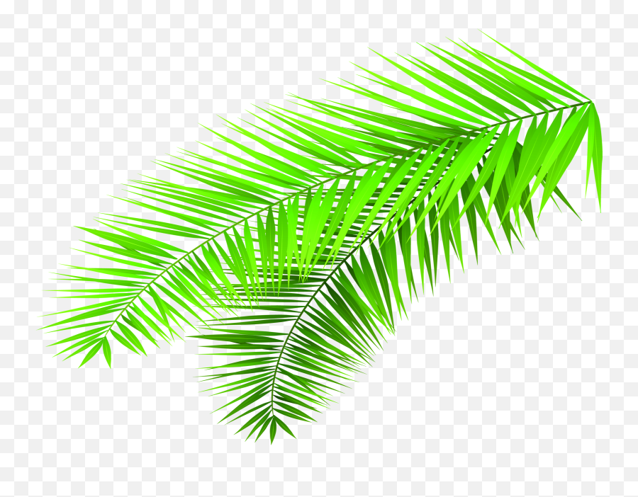Creative Clipart Hand Palm - Bamboo Leaf Png Transparent Clip Art,Palm Fronds Png