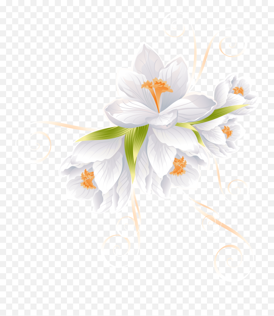 White Flower Clipart Png - Transparent Background White White Flower Clipart Png Transparent Background,Flowers Clipart Png