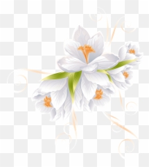 White Flower Clipart Png - Transparent Background White White Flower Clipart Png Transparent Background,Flowers Clipart Png