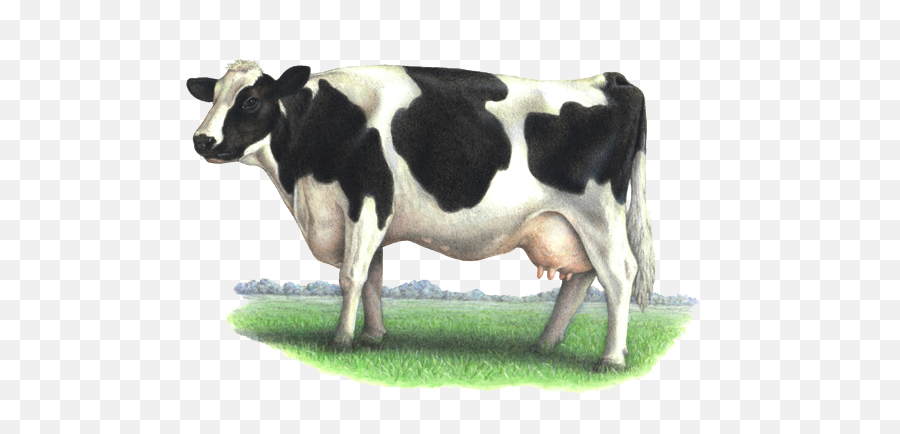 Dairy Cow Png Transparent Image Arts - Realistic Painting Of A Cow,Cattle Png
