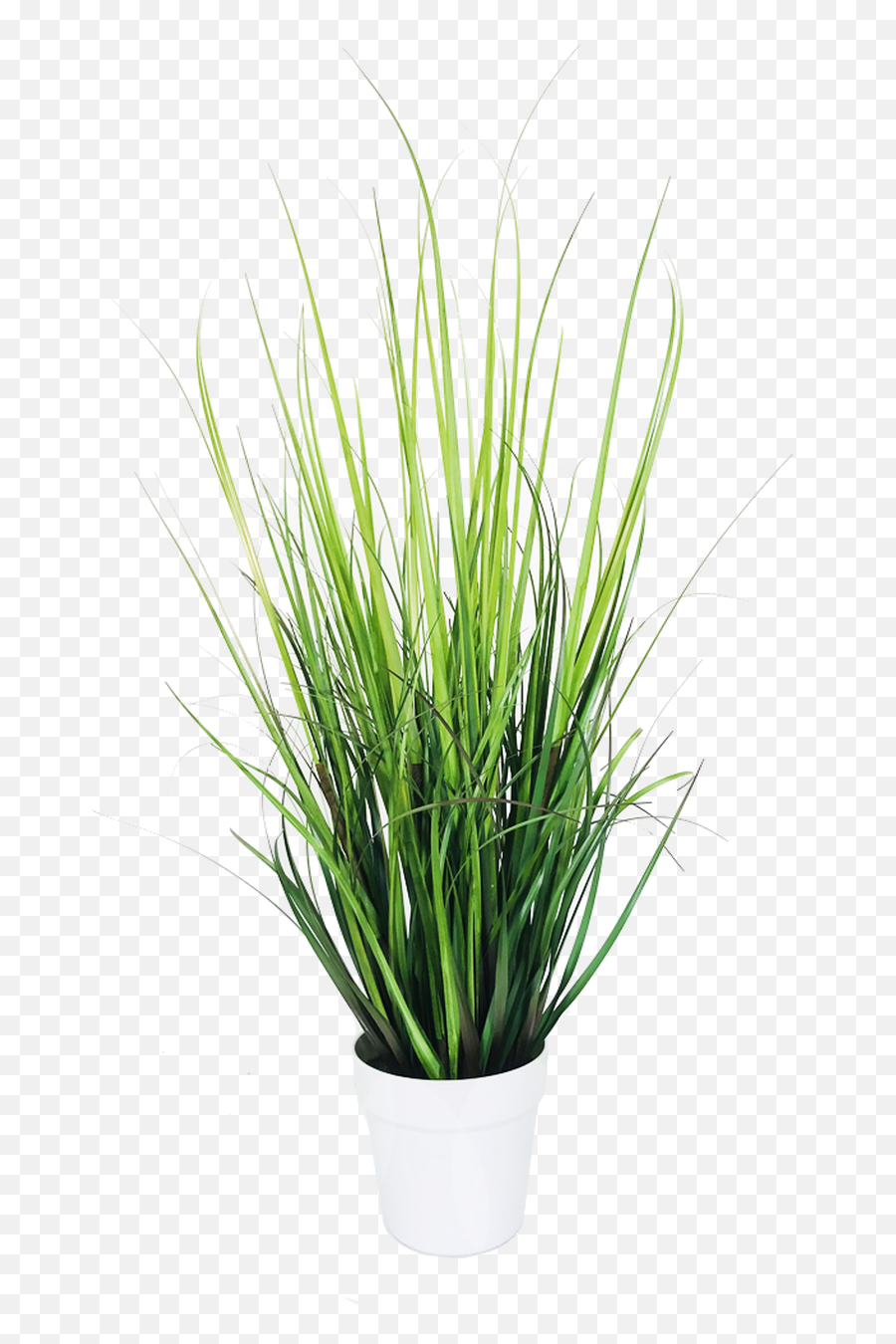 Monkey Grass 30 Artificial Potted Plant - Potted Plant Png,Potted Plant Png