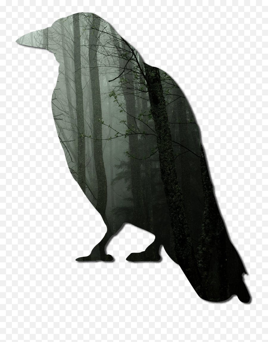 Download Eagle Feather Png Image - Crow Clip Art,Eagle Feather Png