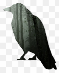 Download Eagle Feather Png Image - Crow Clip Art