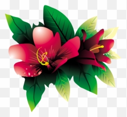 Png Tropical Flowers Transparent Flowerspng Images - Vector Png