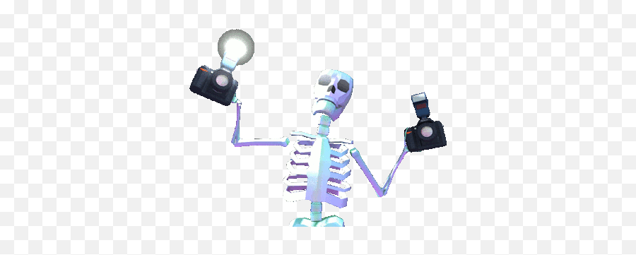 Skull Pictures Funny Skeleton - Skeleton With Camera Gif Png,Skeleton Gif Transparent