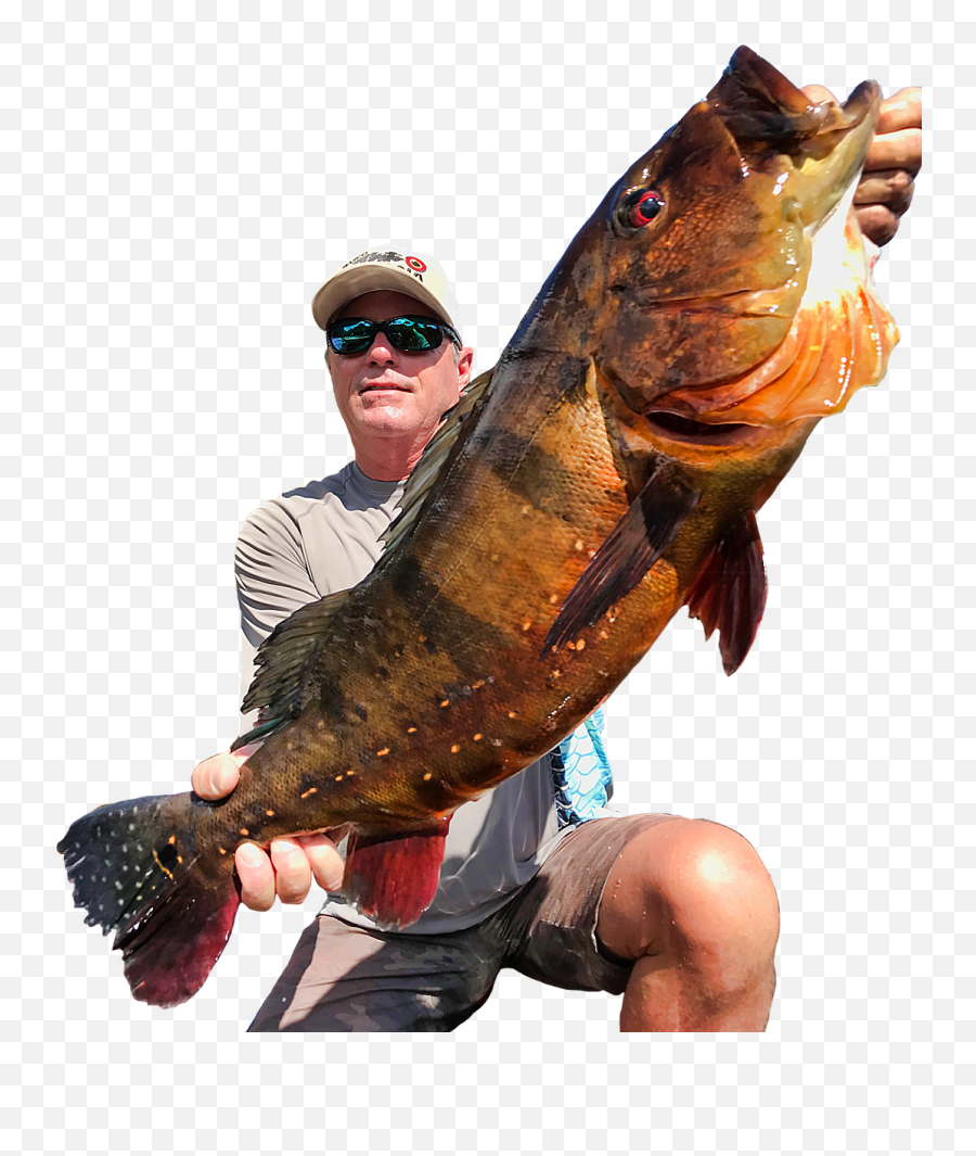 Zaltan Of The Amazon Top Peacock Bass Fishing Destination - Jigging Png,Bass Fish Icon