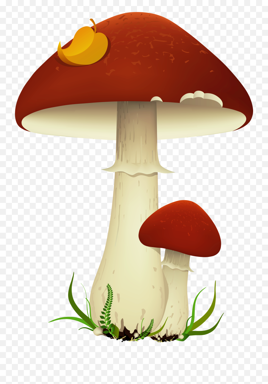 Hd Image Mushroom Cloud Clipart No - Clipartbarn Transparent Background Mushroom Clipart Png,Cloud Clipart Transparent Background