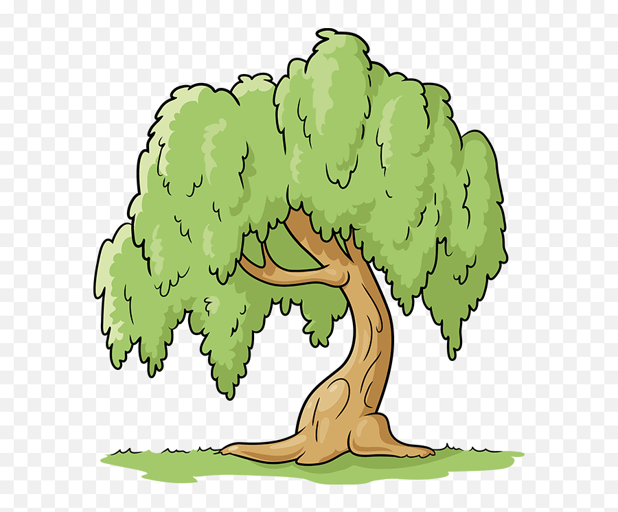 How To Draw A Willow Tree - Really Easy Drawing Tutorial Willow Tree Drawing Guide Png,Willow Tree Icon