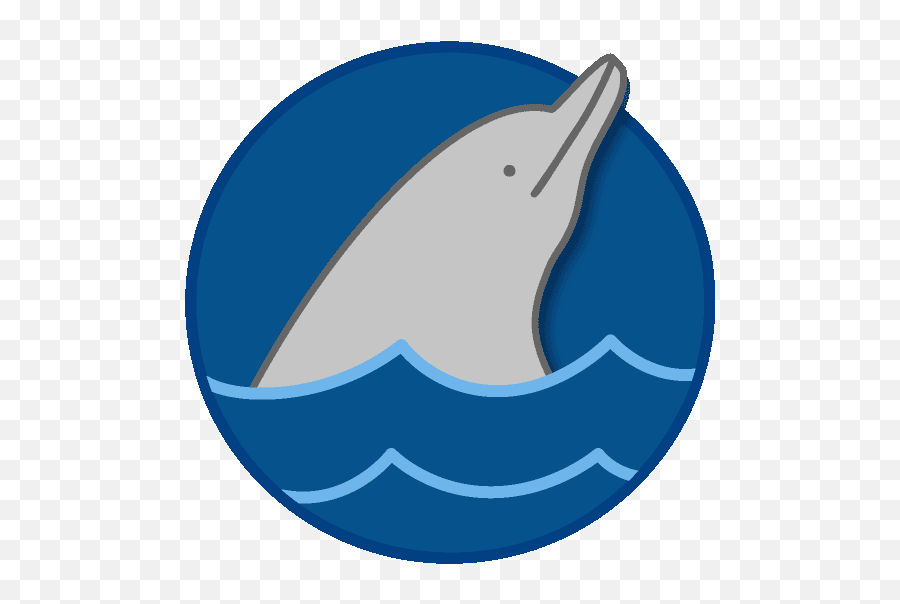 Dolphin Data Collection Methods During Ocs Research - Common Bottlenose Dolphin Png,Gray Twitter Icon