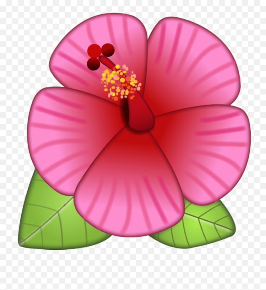 Hibiscus Flower Transparent U0026 Png Clipart Free Download - Ywd Flower Emoji Clipart,Hawaiian Flowers Png