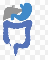 Patients - Bay Area Houston Gastroenterology Associates png