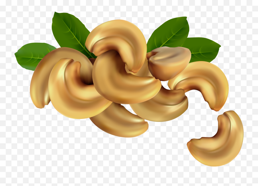 Cashew Cliparts Download Free Clip Art - Cashwe Nut Drawing Png,Cashew Png