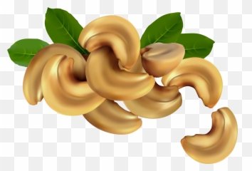 Cashew Cliparts Download Free Clip Art - Cashwe Nut Drawing Png,Cashew Png