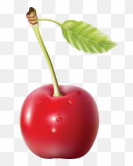 Cherry Png Alpha Channel Clipart Images - Transparent Background